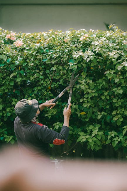 A man with short hair, wearing glasses, a dark hooded sweatshirt, and jeans, is performing lawn maintenance in a garden. He is using an electric lawn trimmer to trim the grass along the edge of a lush