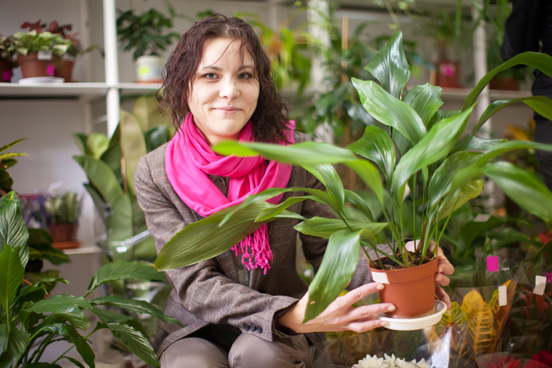 Surround Yourself With Tranquility by Selecting Tall-Potted Plants for Gorgeous Privacy